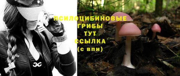 гашик Лагань