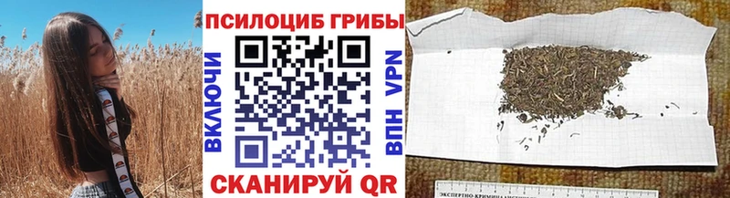 ссылка на мегу онион  Кяхта  Галлюциногенные грибы ЛСД 
